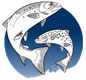 The Salmon and Trout Association