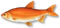 Golden Orfe