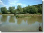 Keysham Angling Association - Century 'Island' Pond