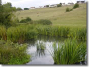 Keysham Angling Association - The River Chew - Mill Ground