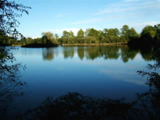 Quality carp fishing at Lac Du Pelerin