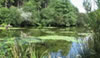 Where to Fish. Coarse fishing venues in the South West