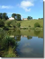 Coarse fishing venues in Devon - newbarn Farm