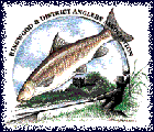 Coarse fishing clubs in Dorset - Ringwood & District Anglers Association