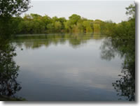 Ringwood & District AA - Northfield Main Lake Ringwood & District AA - Northfield Main Lake