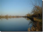 Manorbrook Lake Coarse fishing clubs in Wiltshire - Ashton Keynes Angling Club - Manorbrook Lake