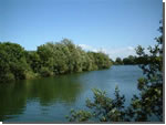 Neighbridge Lake Coarse fishing clubs in Wiltshire - Ashton Keynes Angling Club - Neighbridge Lake