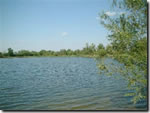 Thamesmead 'B' Lake Coarse fishing clubs in Wiltshire - Ashton Keynes Angling Club - Thamesmead 'B' Lake