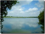 Top Pit Coarse fishing clubs in Wiltshire - Ashton Keynes Angling Club - Top Pit