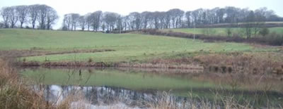 Broadleaze Fishery, Dorset