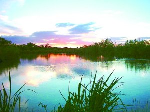 Where to fish in Gloucestershire. Lemington Lakes