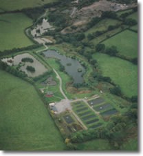 Milemead Fisheries complex