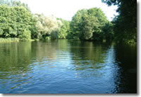 Coarse and fly fishing at Millbrook Cottages, Devon