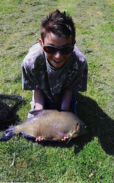 Common Carp from Bake Lakes, Cornwall