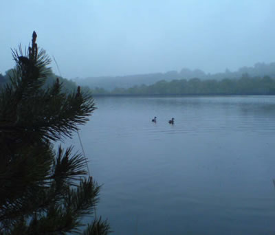 Squabmoor Reservoir, Exmouth, Devon