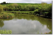 coarse fishing venues in Cornwall - St Tinney Farm