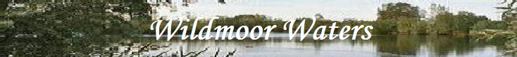 Where to fish in Gloucestershire. Wildmoor Waters Where to fish in Gloucestershire. Wildmoor Waters