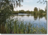 Coarse fishing venues in Gloucestershire - Wildmoor Waters